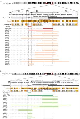 Disorders Associated With Diverse, Recurrent Deletions and Duplications at 1q21.1